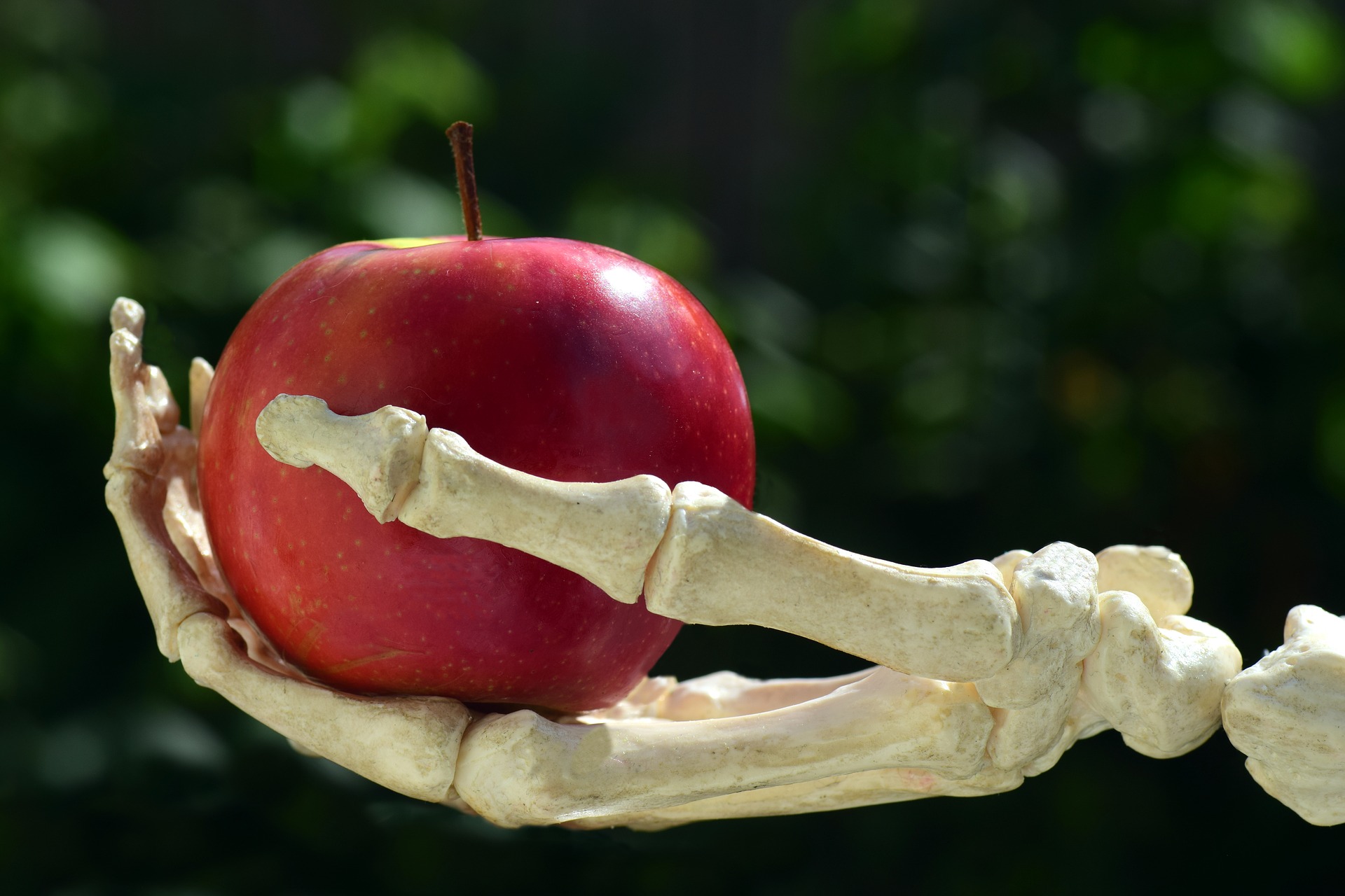 Крепкие кости залог хорошего здоровья, как быть здоровым?